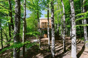 Treehouse Lika1, Gospić